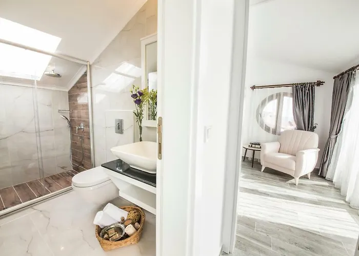 Cedrus Apart Otel 4*