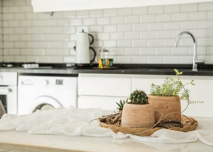 Cedrus 아파트호텔 4*